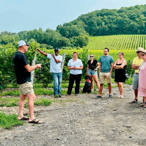 Visites guidées