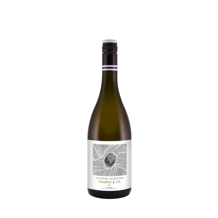 Chardo & Co 2025, Vin blanc du Québec | La Cantina Vallée d’Oka