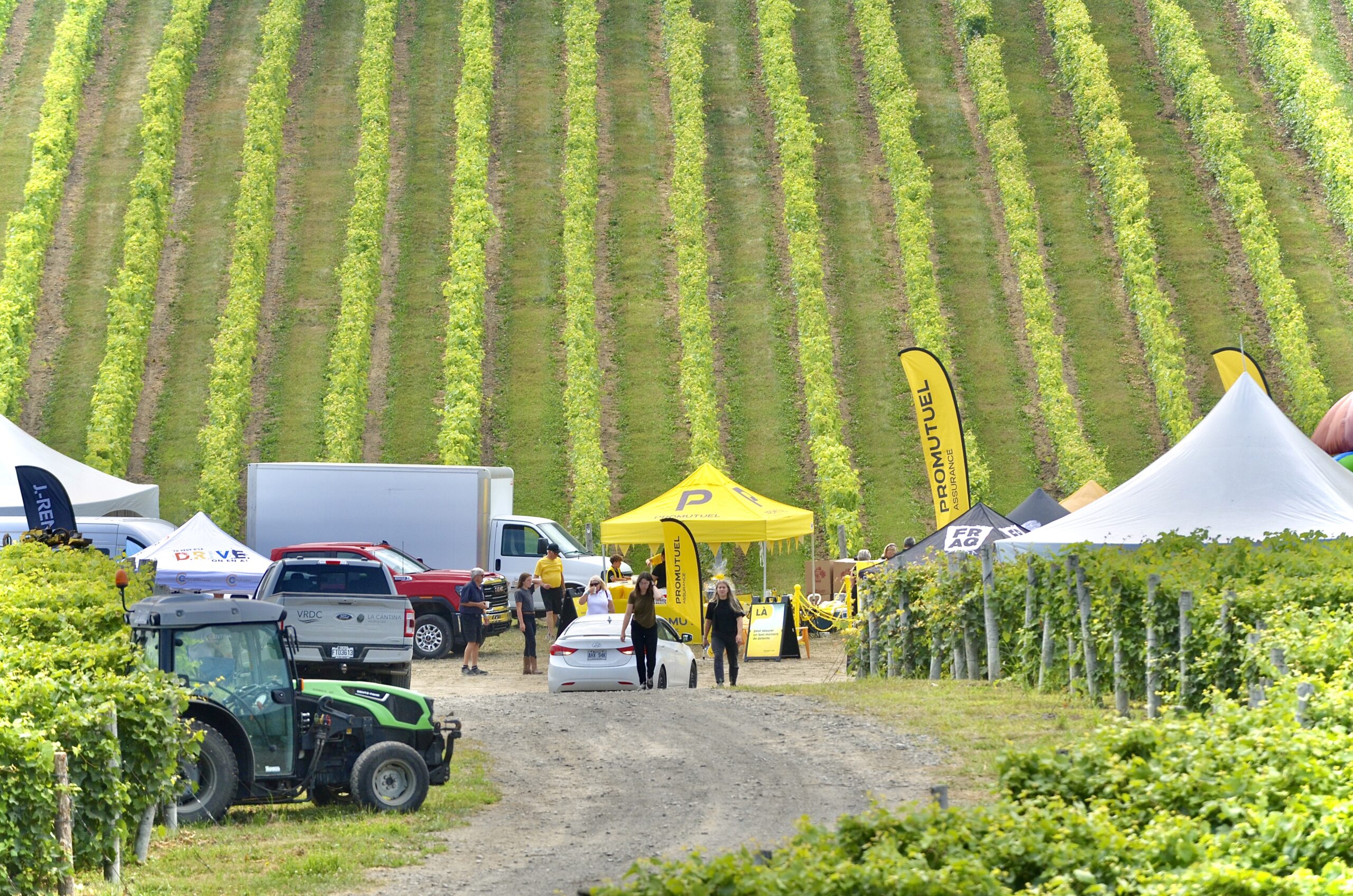 Fête champêtre 2025 au Vignoble La Cantina, Vallée d’Oka : un succès festif et rassembleur