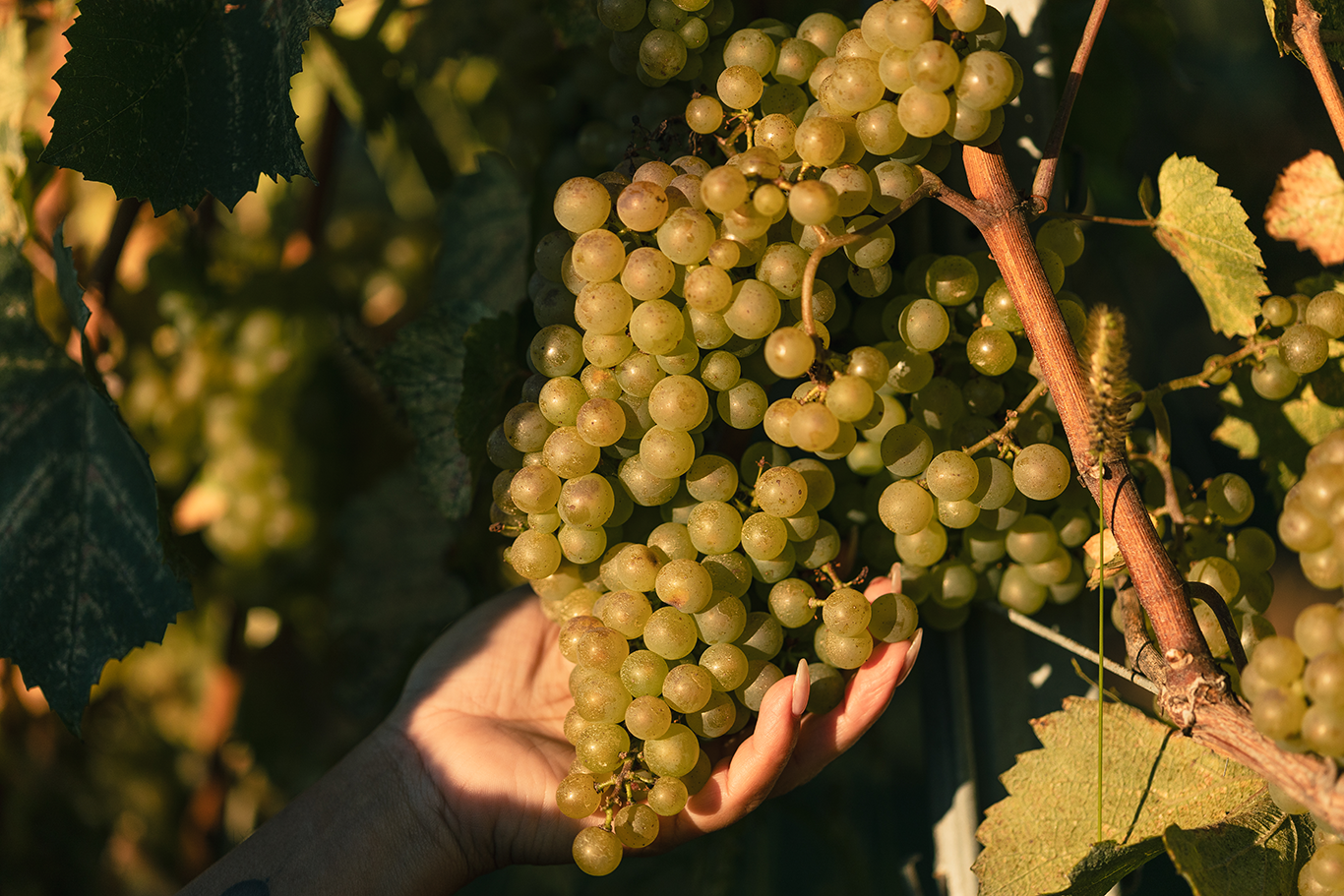 Ajustement de nos tarifs à compter du 3 novembre 2025